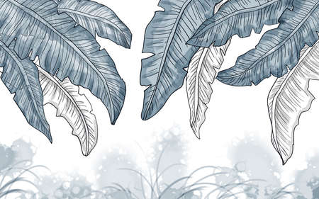 Monochrome illustration, large tropical leaves on a light blurred backgroundの写真素材