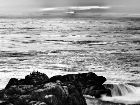 ocean sunset view in black and whiteの写真素材