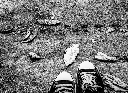 shoes on the sand floor with leaves in black and whiteの写真素材