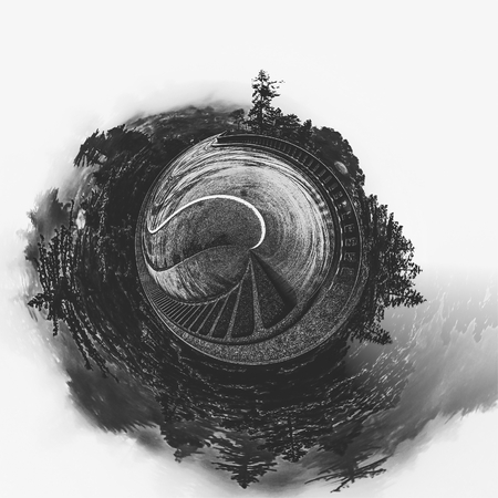 tree and bridge in the forest in black and whiteの写真素材