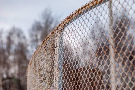 Rusty rabitzの写真素材