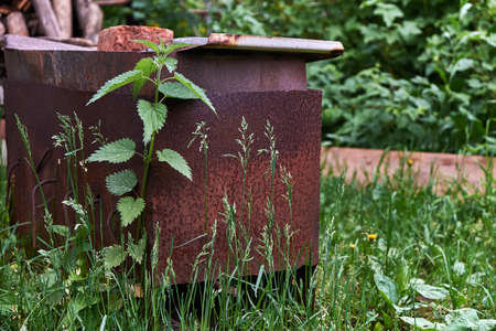 Rusty brazier standing in tall grass and nettlesの写真素材