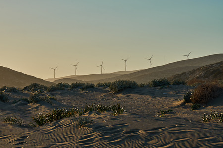 Wind power stations standing on the beach during sunsetの写真素材