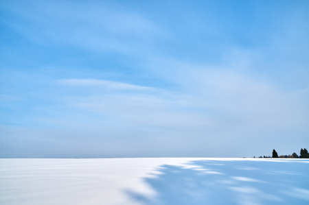 Snowy field with a forest in the distance
