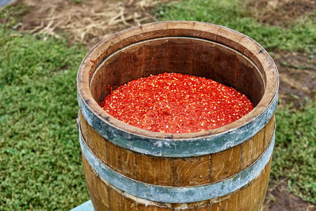 Open wooden barrel filled with milled hot pepper. Hot sauce production. Wooden barrel covered with...