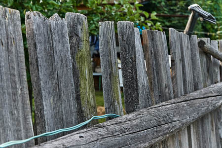 Old wooden fence on the background of green leavesの写真素材