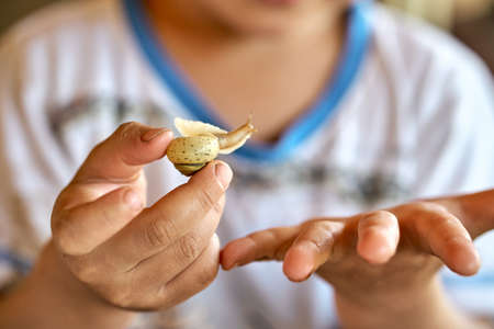 Little boy observing small green snail crawling on hand while exploring nature in summertime