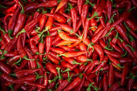 Large pile of spicy red hot chili peppers with green peduncles at bright light as colorful background close view from aboveの写真素材