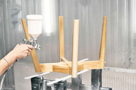 Woman worker paints wooden chair base in transparent varnish with spray gun on rack support in...