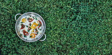 Sunny side up farm eggs with added tomatoes thyme onion and cheese in metal frying pan on lush green meadow grass upper view. Copy space for textの写真素材