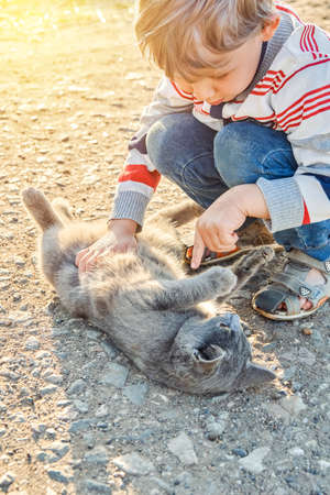 Cute preschooler boy with blond hair plays with grey domestic cat in country yard. Little boy plays with pet spending summer vacation in countrysideの写真素材