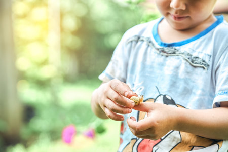 Little boy observing small green snail crawling on hand while exploring nature in summertimeの写真素材