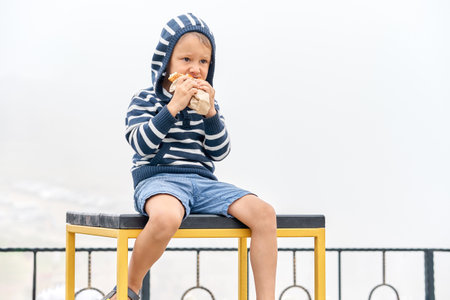 Hungry little boy with hood eats sandwich sitting on table on misty day in mountain park. Cute child bites snack resting in foggy highland. Kid has dinner outdoorsの写真素材