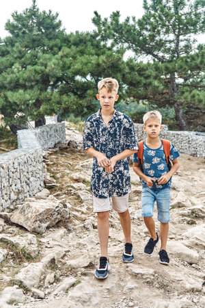 Tourist boys walk along unfinished rocky road with gabion in nature park. Active brothers explore landmarks together at highland. Kids enjoy tripの写真素材