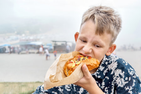 Thoughtful boy eats fresh hotdog resting in mountain park closeup. Kid bites large piece of sandwich against farm market. Fast food snackの写真素材