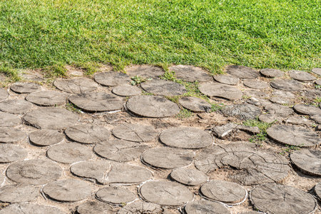 Square covered with old paving stones made of cut pine logs in garden. Natural decorative elements for landscaping. Round timber tiles in parkの写真素材