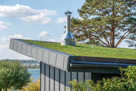 Guest house with metal standing seam facade and lawn on flat roof on lake bank. Sustainable house design at countryside. Building rooftop with grassの写真素材