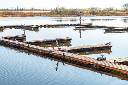 Empty wooden pontoon pier for fishing boats on tranquil river. Several short bridges connected in long piers with place to moor ship. Riverside viewの写真素材