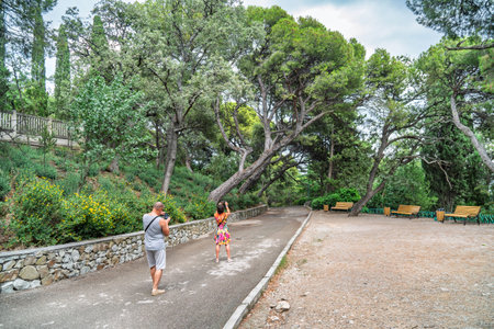 Man and woman taking photos in a scenic park with leaning trees, stone wall, benches, and lush greenery on a cloudy dayの写真素材