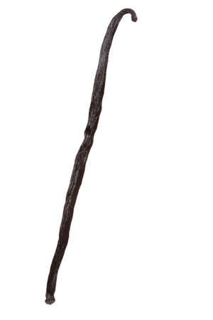 Vanilla isolated on white background