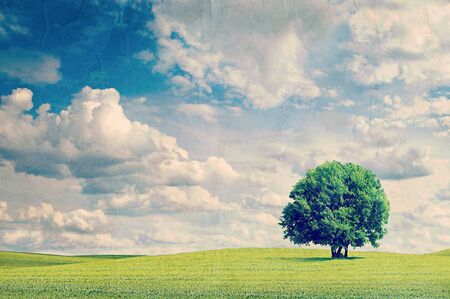 Field and tree. Vintage retro hipster style versionの写真素材