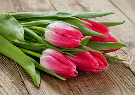 Bunch of spring tulips on an old board.の写真素材