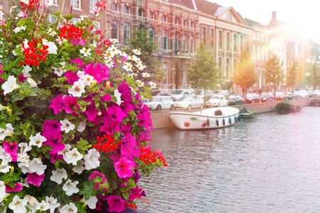 Canal in Amsterdam in a beautiful summer day. Flower.の写真素材