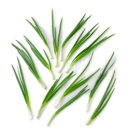 green onion isolated on white background top view.の写真素材
