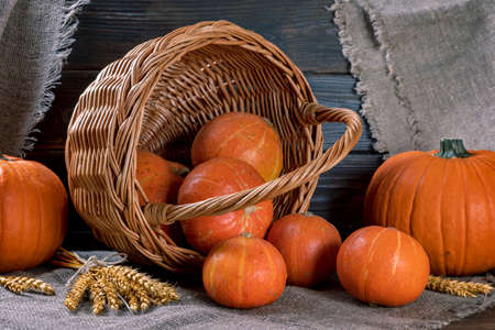 pumpkin pouring out of a basket on a rustic tableの写真素材