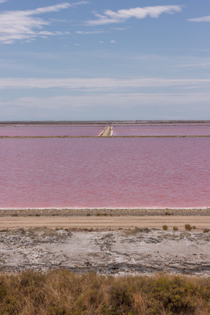 Saltwork in the salt fields in the camargue, the rhone delta in France, Europeの写真素材