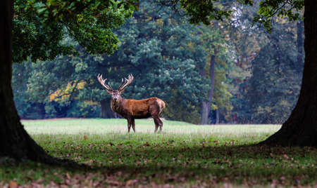 You looking at meの写真素材