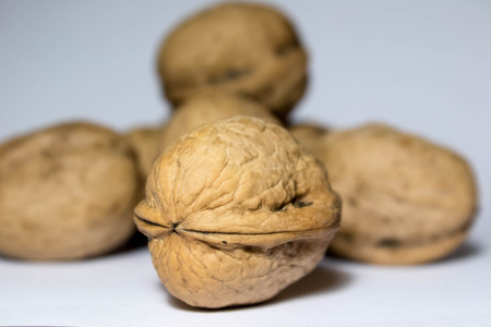 walnutsの写真素材