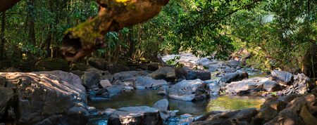 Panorama of the mountain river in the jungle, Morning, India, Goaの写真素材