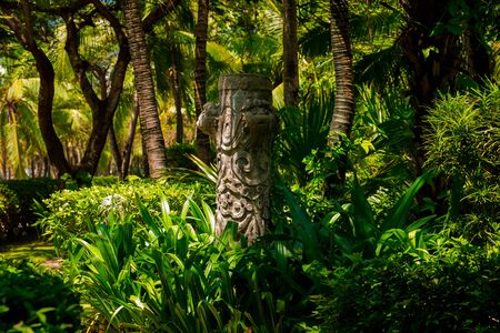 Trail in the tropical jungle in the afternoon. Tropic in the park. Stone road in forestの写真素材