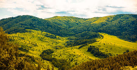 Panorama of green hills on summer sunny day. Beautiful view of the mountains covered with greenery against the backdrop of clouds. Country road leading up to the mountains and forestの写真素材
