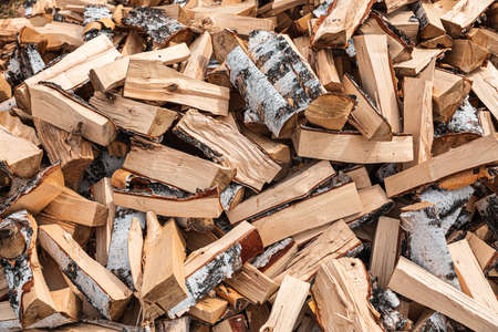 Preparation of firewood for the winter. Stacks of firewood in the forest. Firewood background. Sawed...