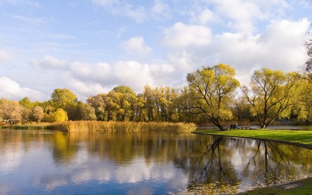Park in the autumn. Reflexion in water, trees, the sky.の写真素材