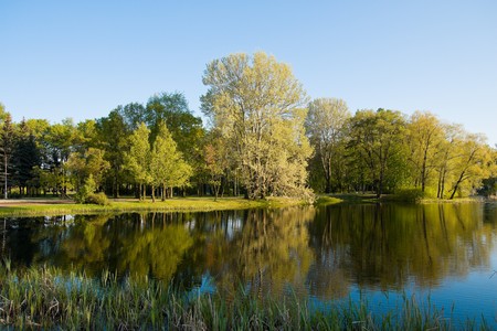 Park in the autumn. Reflexion in water, trees, the sky.の写真素材