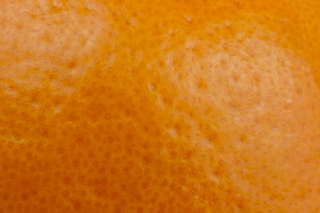 orange near background close to freshの写真素材