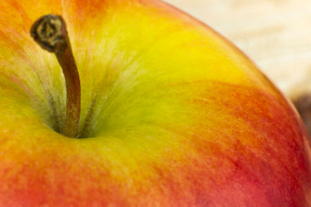green red Apple fresh natural juicyの写真素材