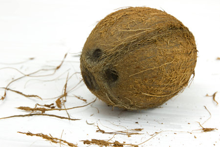 coconut pulp fresh tropical brown white organic coconut milkの写真素材
