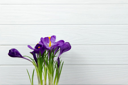 purple flower Crocus are green leaves white wooden backgroundの写真素材