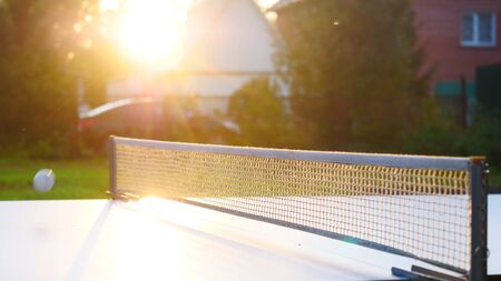 Table tennis and net closeup in sunset light.の写真素材