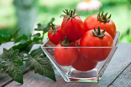 Freshly harvested summer cherry tomatoes on wooden backgroundの写真素材