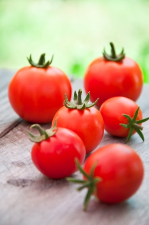 Freshly harvested summer cherry tomatoes on wooden backgroundの写真素材