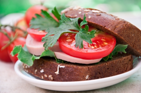 Healthy ham sandwich with  tomatoes and lettuceの写真素材