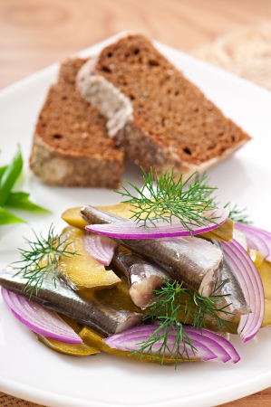 herring salad with pickled cucumbers and onionsの写真素材