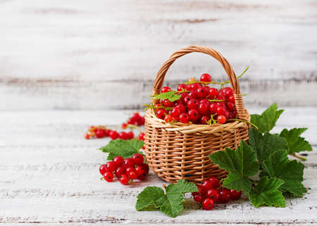Basket with Red currant with leaves on a light background.の写真素材
