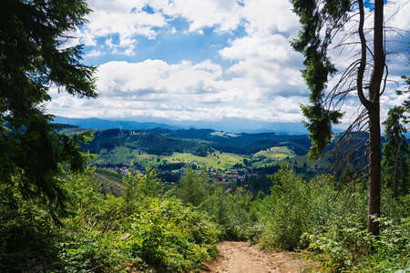 Summer morning in the mountains. Carpathian, Ukraine, Europe.