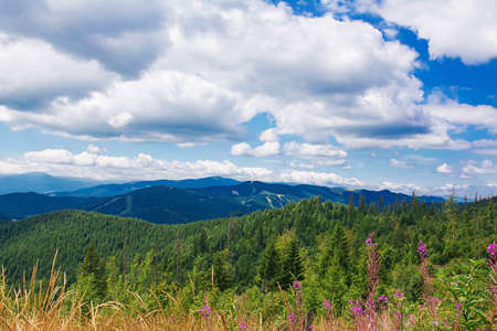 Summer morning in the mountains. Carpathian, Ukraine, Europe.